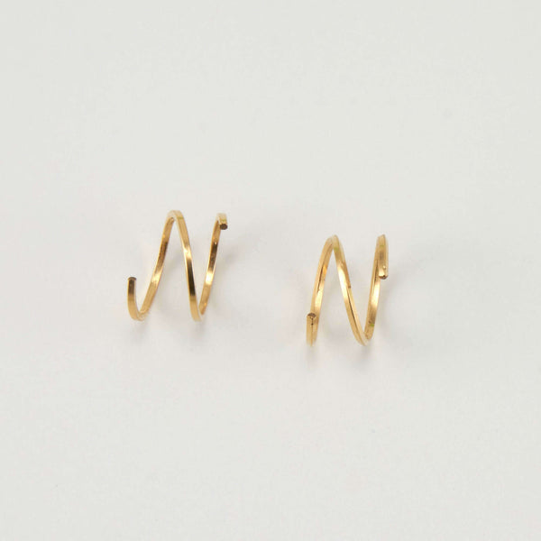 A Pair of Twist Earrings